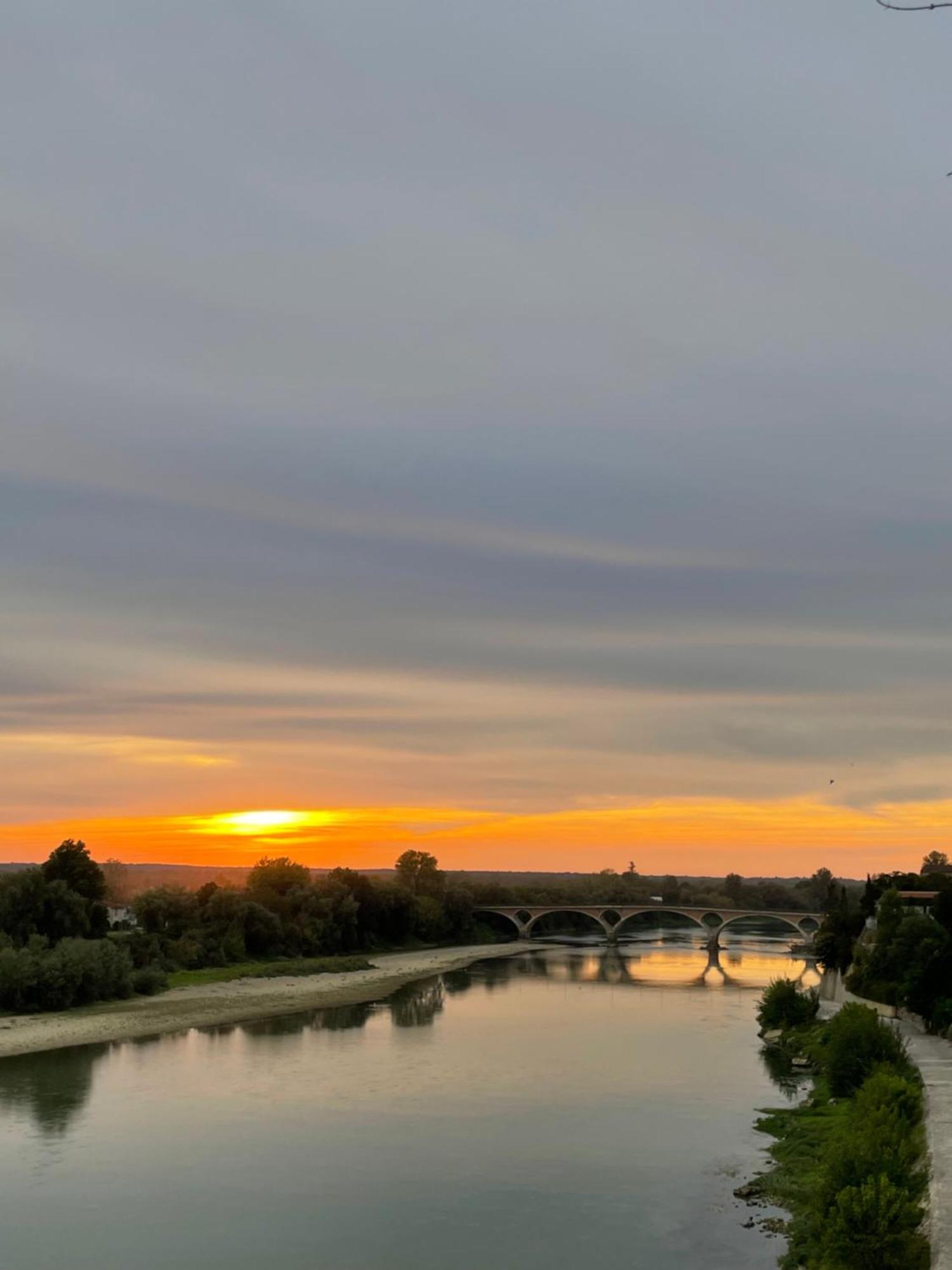 Hotel Restaurant Cote Garonne Le Balcon Des Dames - Tonneins Fauillet Marmande - Vue Panoramique Bord De Garonne Chambres Climatisees Dış mekan fotoğraf